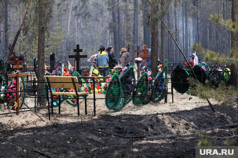 На стихийном кладбище под Курганом, где хоронили бойцов СВО, объявили охоту на черных копателей