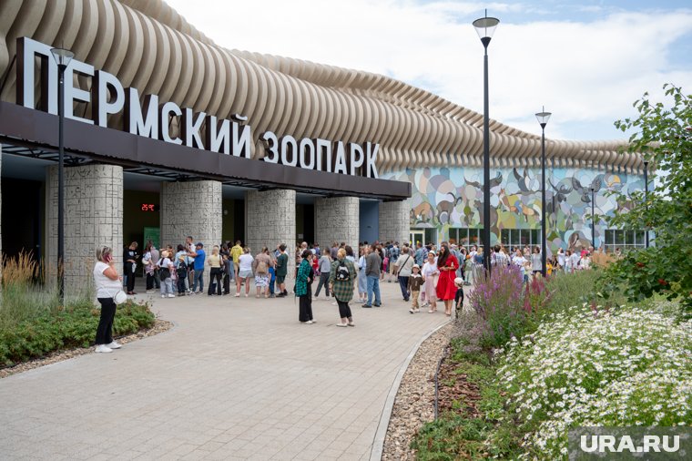 Слонов не будет, но появятся другие животные: в пермском зоопарке раскрыли ближайшие планы