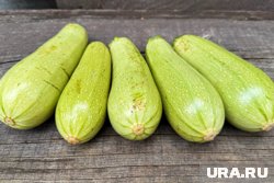 Когда и как сажать кабачки по лунному календарю в 2025 году