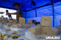 Полезна ли халва и сколько можно ее есть: все о сладком восточном десерте