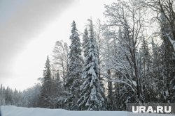 «Семья спокойная, хорошая»: какие подробности известны об Усольцевых, пропавших в тайге под Красноярском