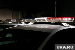 Наследница криминального авторитета протаранила дом: кто такая Анастасия Цапок и чем «прославился» ее отец