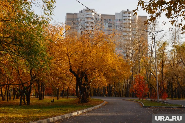 В Курган вернутся солнечные дни, а Шадринск накроют туманы и тучи. Скрин