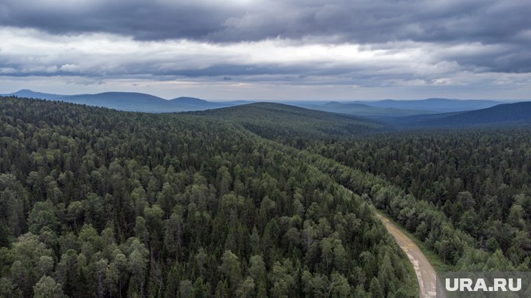 Поиски с воздуха приостановлены: что известно о пропавшей в тайге под Красноярском семье