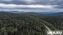 Поиски с воздуха приостановлены: что известно о пропавшей в тайге под Красноярском семье