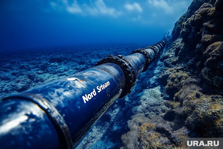 Германия понесла ущерб на 160 млрд евро от подрыва «Северных потоков»