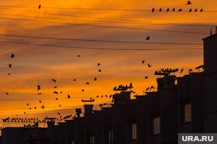 Какой силы будет магнитная буря 19 марта 2025 года: прогноз, солнечные вспышки