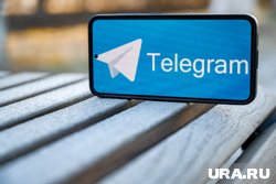 Общественник Шлыков назвал Telegram рассадником преступности