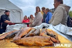 Сотни кг рыбы, космические консервы и звездный гость: как пройдет гастрофестиваль «День сырка» в Кургане
