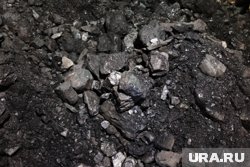 Прокуратура вступилась за мать курганского участника СВО после отказа соцслужбы