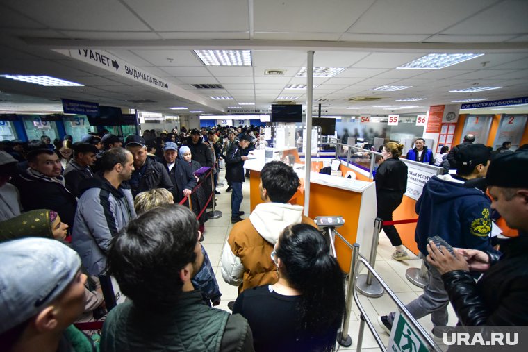 Неработающих мигрантов в Россию хотят пускать за деньги