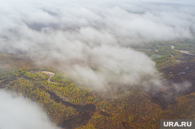 Алеуты, золото и продажа США: чем известна Аляска, где Трамп и Путин проведут встречу
