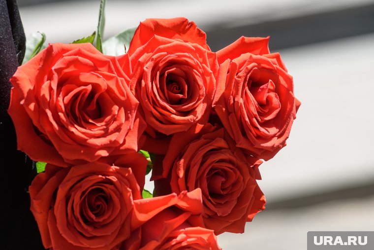 Родительские субботы в Великий пост 2025: что можно и нельзя делать