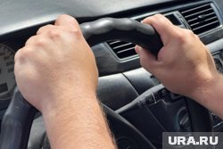 Замена прав, штрафы и новые тарифы ОСАГО: по каким правилам теперь живут российские водители