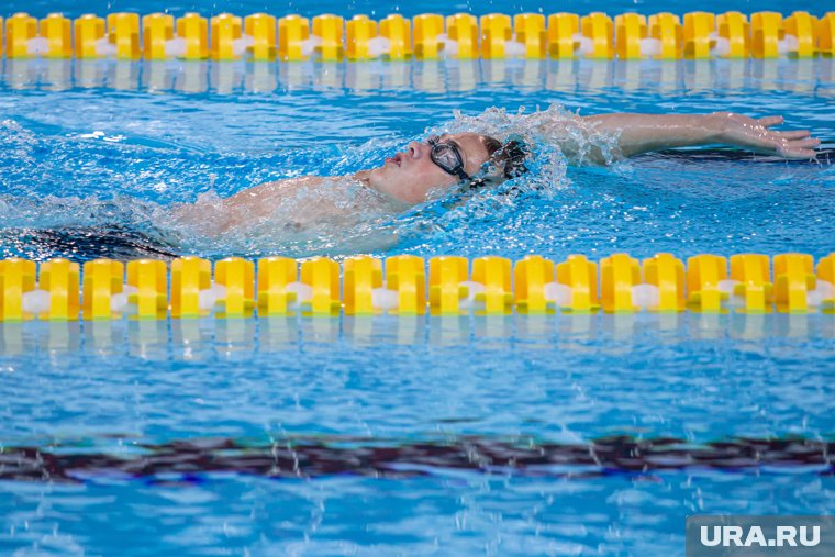 Россиян на водном ЧМ поддержали болельщики в тельняшках с Андреевским флагом
