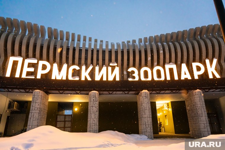«Пермский зоопарк» потратит 600 тысяч рублей на торжественное открытие