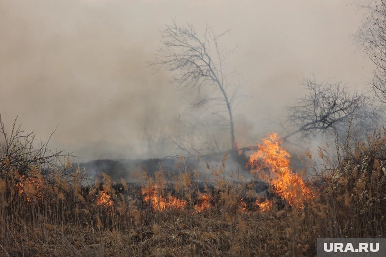 Мощный пожар произошел в селе под Ростовом, огонь подбирается к жилым домам. Видео