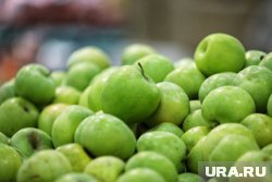 Как хранить яблоки: правила, которые нужно знать всем садоводам