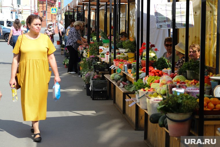 Какая погода ждет курганцев в августе