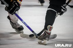 Уроженец Кургана Гридин забил первую шайбу в НХЛ