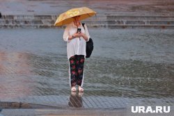 Неприятный погодный сюрприз ожидает шадринцев на День города. Скрин