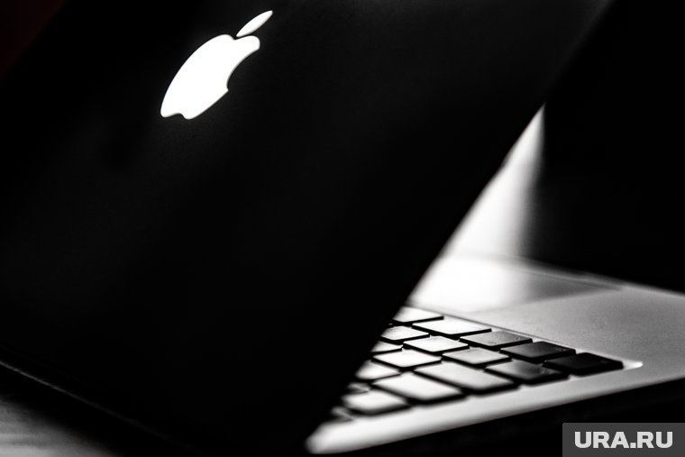Путин запретил Apple препятствовать установке российского ПО 