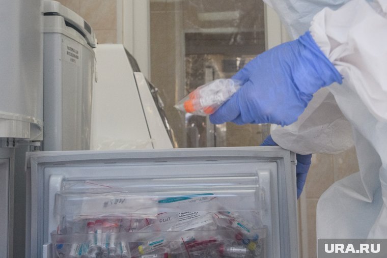 Может привести к менингиту: чем опасен вирус Коксаки для детей