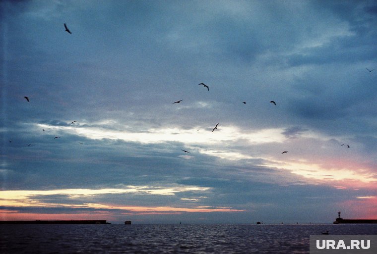 Развожаев: силы ПВО уничтожили 3 цели над морской акваторией близ Севастополя