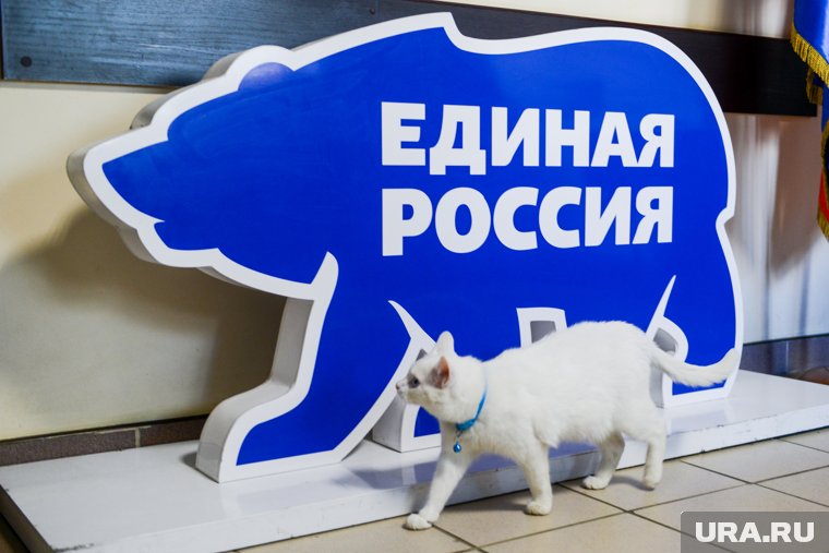 Источник раскрыл имена фаворитов на праймериз ЕР в ЯНАО: список