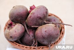 Чем полить свеклу, чтобы она выросла сладкой: советы садовода о подкормке в сентябре