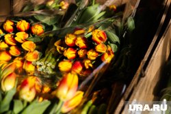 «Советы из интернета — бред»: флорист из Екатеринбурга раскрыла секреты стойкости цветов