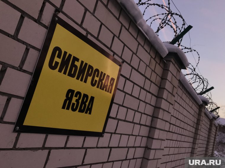 На Ямале создадут защитные зоны вокруг очагов сибирской язвы