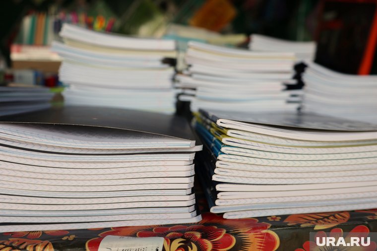 Сколько стоит собрать ребенка в школу в 2025 году: разбор бюджета