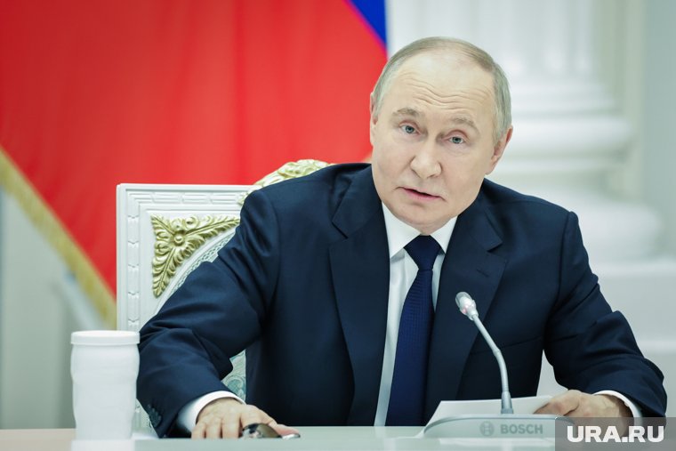 Откровенный разговор по концу СВО, ситуации в Иране и обмену фильмами: что обсудили Путин и Трамп