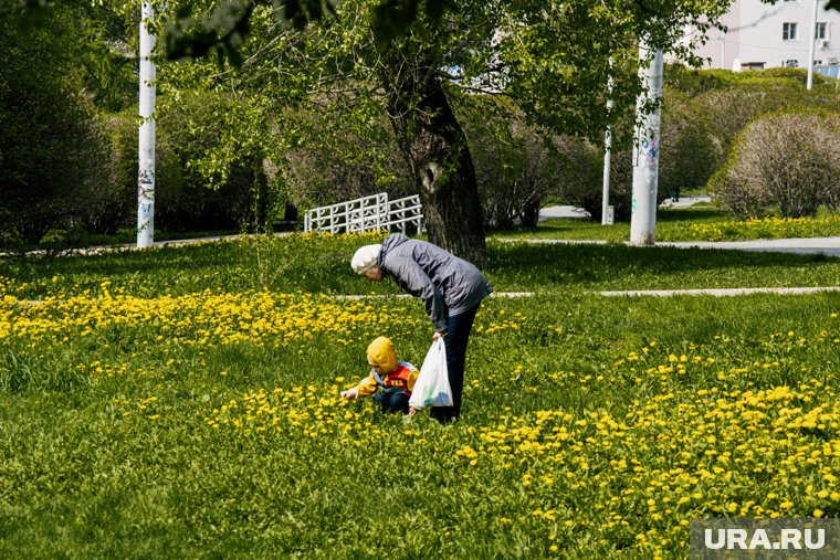 Повышение пенсий и выплат, контроль за переводами — какие законы вступят в силу с 1 июня