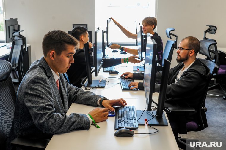 Названа дата, когда будет приниматься заявление на отсрочку от срочной службы для IT-специалистов