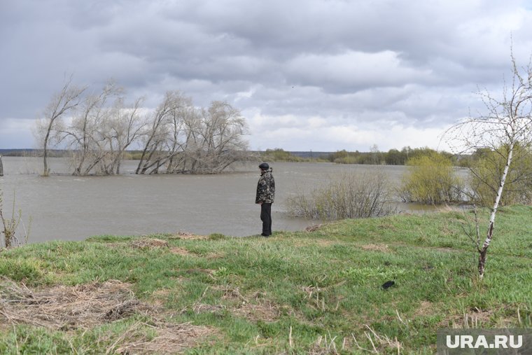 Что известно о челябинской семье, где мать заказала убийство 12-летней дочери 
