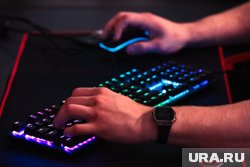 Baza: Интерпол пожаловался в полицию РФ на 14-летнего игрока в Brawl Stars