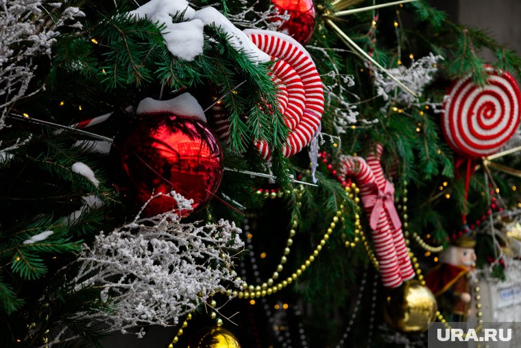 Ямальских школьников, которые не прошли отбор на Губернаторскую елку, пригласят на Елку главы города