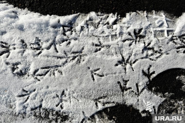 Народные приметы на 7 октября: как не навлечь беду на Феклу Запрядальницу