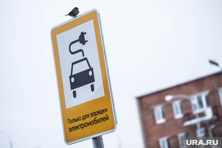 В Кургане владелица BMW с розеткой рассказала, как ездит в городе с единственной электрозаправкой