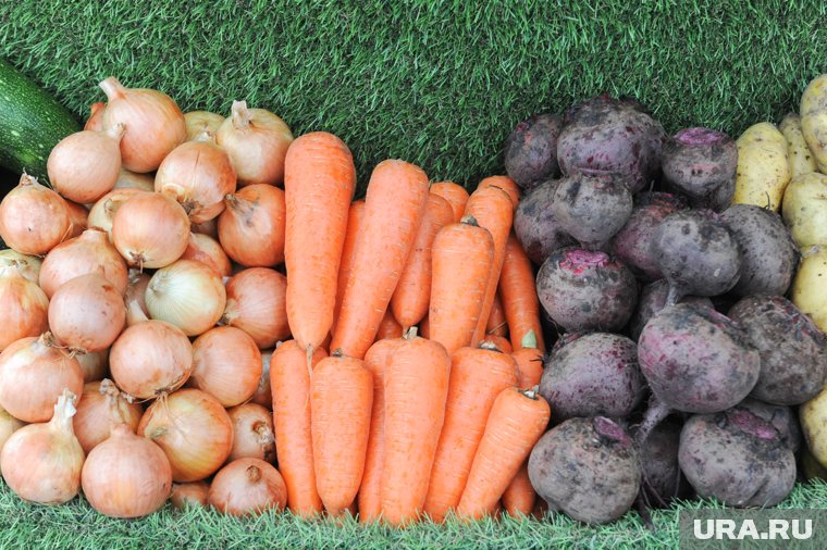 В интернете распространяют фейк о скором запрете дачникам продажи урожая