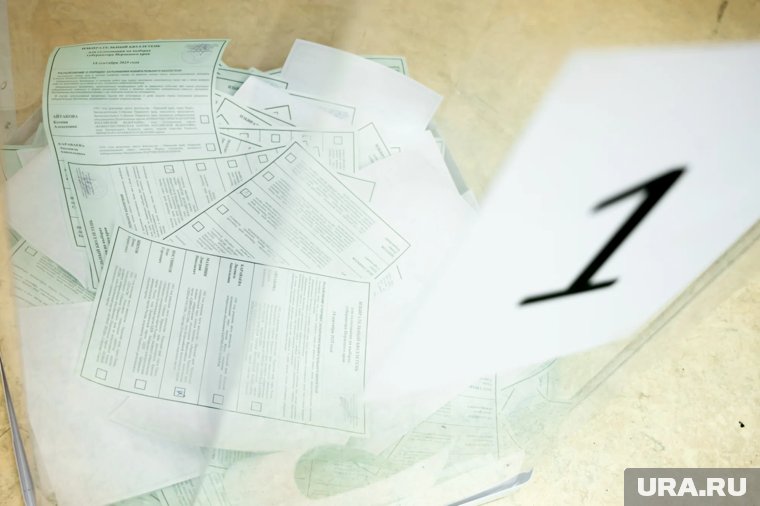 Кот, корова и мульгерой: кто пришел на выборы в Пермском крае