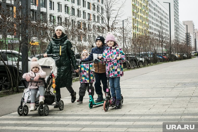 Подведены итоги помощи многодетным семьям в 2024 году