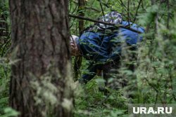 Как пермякам не заблудиться в лесу: советы службы спасения и МЧС 