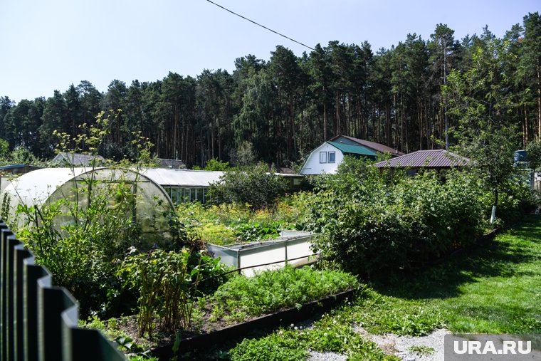 Что нужно успеть сделать в саду и огороде до первых заморозков