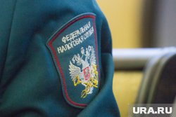 Уголовное дело экс-налоговика из ЯНАО Калюжиной ушло в суд: история и перспективы