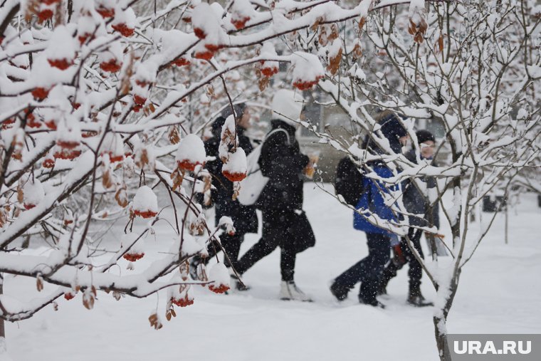 В России предложили перенести зимние каникулы на другое время года