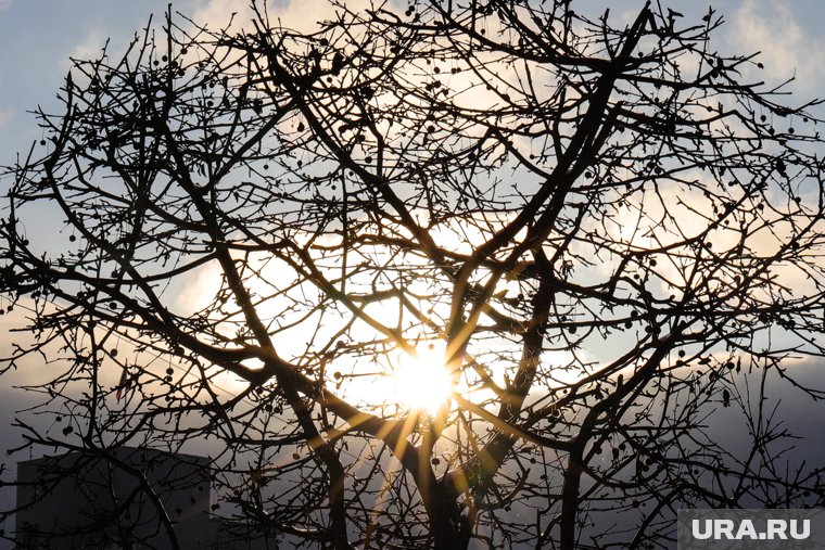 Продукты, которые помогут восполнить витамин D осенью