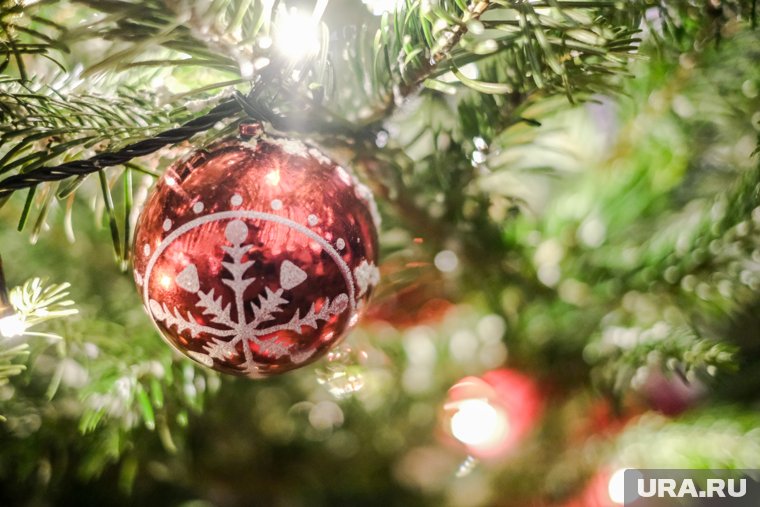 Как встречать год Змеи, чтобы привлечь удачу: советы по фэн-шуй